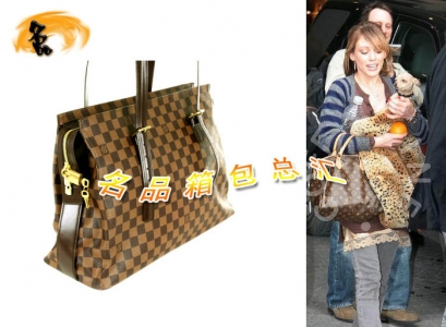 N51119 LVμ LV LVŮʿμ LVŮ LVP