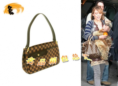 N51129 LVμ LV(jng)P LVŮ LV LV