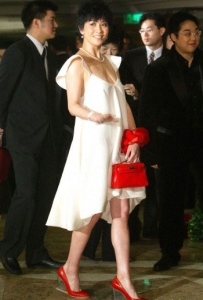 H008 Hermes ֦yŮ Hermes Kelly P   tɫ