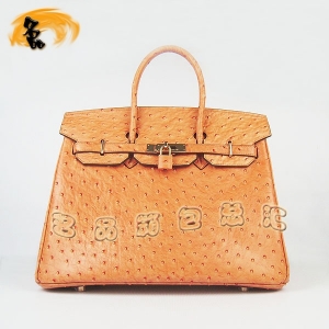 6089 Hermes Birkin K HermesŮ R rBy(35cm) ɫ