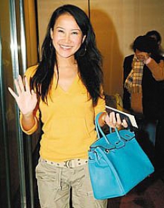 6089 Hermes Birkin K R˽֦y  35 HermesŮ \{y