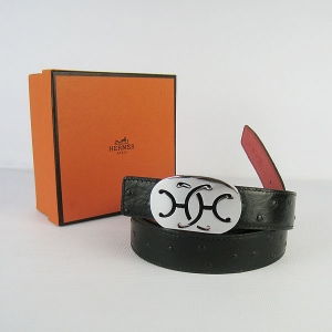 321 ¿HermesƤ Hermes  RƤ rByt y3cm