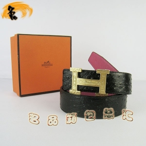 447 ¿ HermesƤ Hermes RпƤ rByҼt 3.8cm