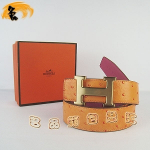 448 ¿ HermesƤ Hermes RŮƤ rByҼt 3.8cm