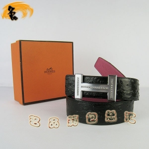 449 ¿ HermesƤ Hermes RпƤ rByҼt yۣ@3.8cm
