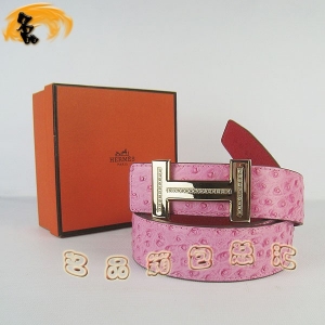 449 ¿ HermesƤ Hermes RŮƤ rByҼtt ۣ@3.8cm