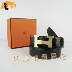 361 ¿ RпƤ HermesƤ Hermes rByɫ 3.8cm
