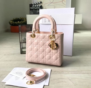 DiorϊW Lady Dior (jng) С̖(ho) ɫƤ ɫ