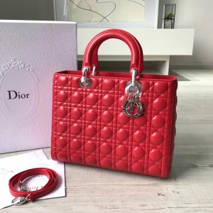 DiorϊW Lady Dior (jng) ߸̖(ho) tɫƤ y
