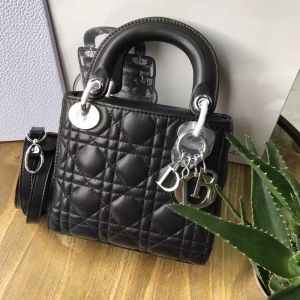DiorϊW Lady Dior (jng)ϊW Mini ɫƤ Dior朗l y