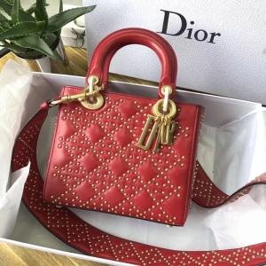 M0579 DiorϊW LADY DIORtɫСţƤܛ μ