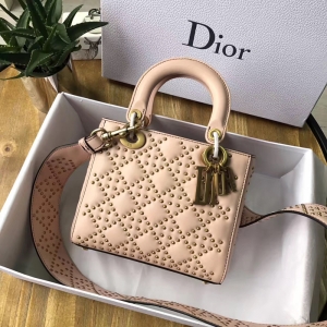 M0579 DiorϊW LADY DIORɫСţƤܛ μ