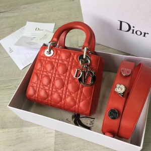 Dior LADY DIORСƤ 2017¿ϊW´ tɫ
