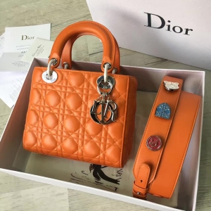 Dior LADY DIORСƤ 2017¿ϊW´ ɫ