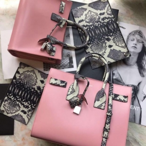 ʥ_m SLP 2017پW¿Lٰƴɫ