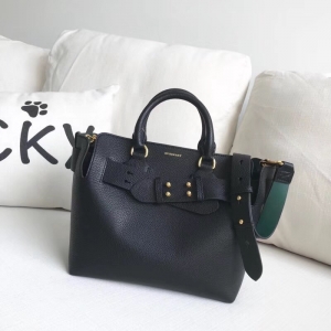 40769461 ͌ The Belt С̖ ɫƤ ؐذ ɫ