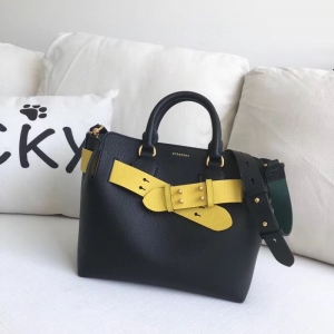 40769461 ͌ The Belt С̖ ɫƤ ؐذ S