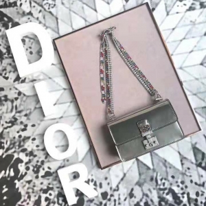 5817 DiorŮ (f)Ų@ٿ RСţƤ ϊWִ @朗l yɫ