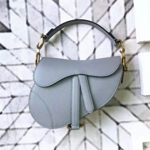 M0447 DiorŮ 2019 SaddleR СţƤ ϊW F{