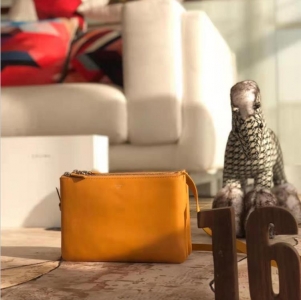 CelineŮ  ِհ Celineμ ِƴŮ ţƤְ Sɫ