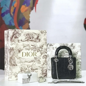 M673 DiorϊW Lady Dior (jng)ϊW Ƥ Dior朗l ɫy