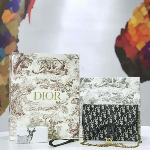 M5620 Dior ObliqueŮ Ứ ϊW朗l Diorð Һɫ