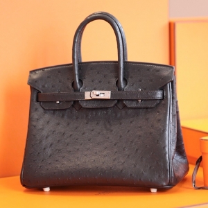 Hermes Birkin 25 RK ֹư rBƤ ɫ