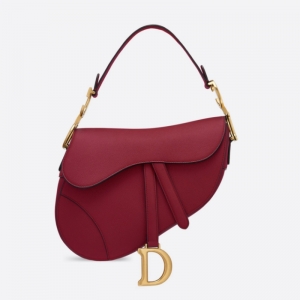 M0446 Dior SaddleƼy DiorR tɫ