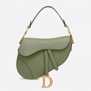 M0446 Dior SaddleƼy DiorپWŮR Gɫ