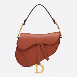 M0446 Dior SaddleСţƤ DiorR DiorŮ ɫ