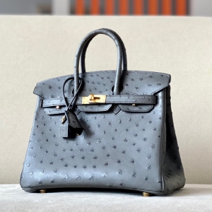Hermes Birkin25 RK ֹư rBƤ a