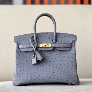 RHermes Birkin25 RK ֹư rBƤ 觻