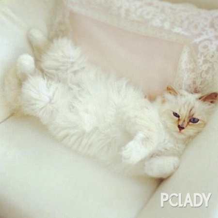 關于Chanel 香奈兒你不可不知道的20件事 關于Chanel 香奈兒你不可不知道的20件事