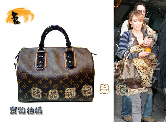 M95587 LV老花系列 LV幻彩系列 LV女包 LV手提包 一比一 LV枕頭包