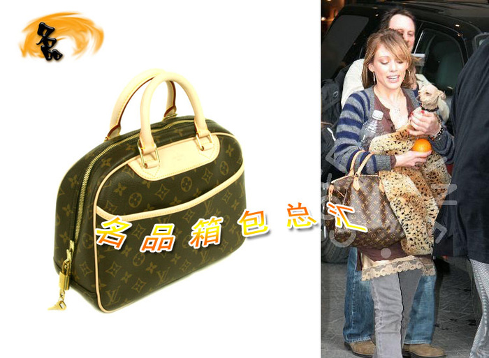 M42228 LV限量款 LV經典老花 LV女包 LV手提包 LV老花包