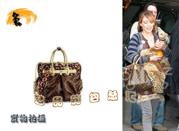 M95283 LV斜挎包 LV豹紋包 LV經典老花 LV女包 LV手提包