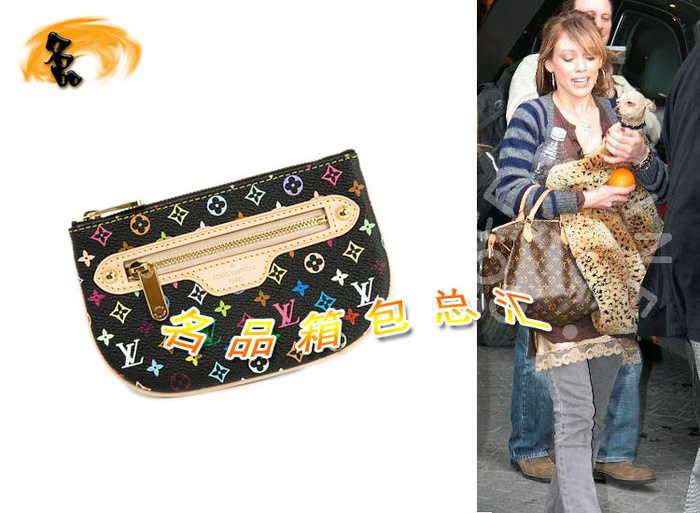 M60031 LV錢包 LV三三彩系列 LV33彩系列 LV零錢包 LV七彩