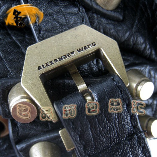 63462 Alexander Wang/亞利山大王 時尚休閑女包 手提包 斜挎包 柳釘包