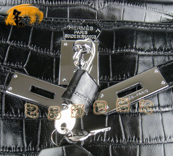6108 Hermes¿{~y б Hermes KellyϵŮʿ ɫy