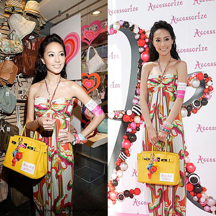 6088 Hermes 30 Birkin 手提包 Hermes Birkin 鉑金包 Hermes女包 黃色金扣