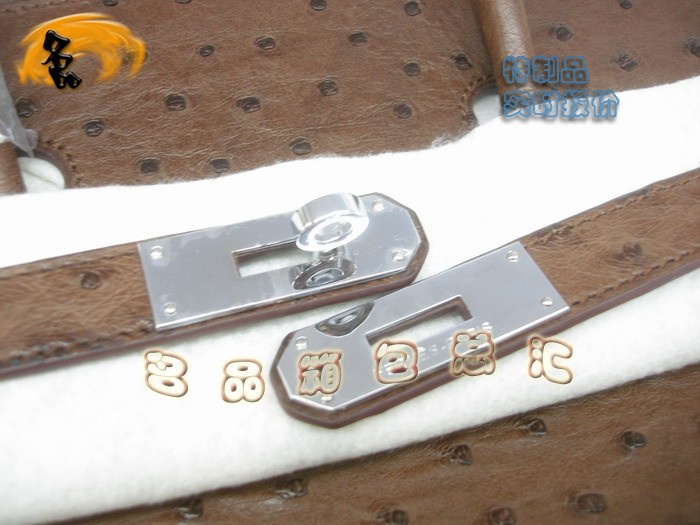 04595 鴕鳥皮手提包 Hermes Birkin 鉑金包 Hermes 女包 啡色 專業訂制品 實時報價