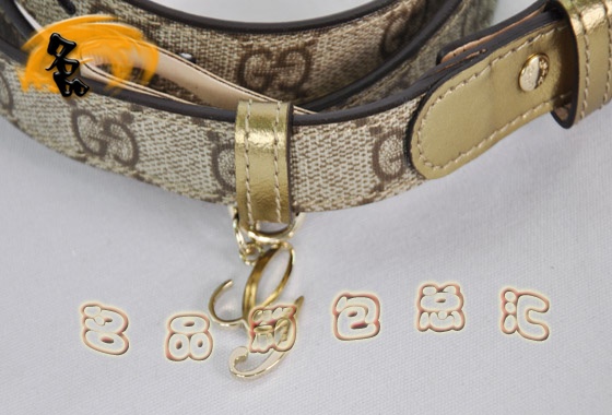201789 Gucci皮帶 Gucci最新款 PVC 時尚女士皮帶 Gucci腰帶 原版一比一品質(zhì)