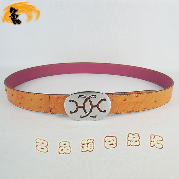 321 ¿ (i)RŮƤ HermesƤ Hermes rByҼt y3cm