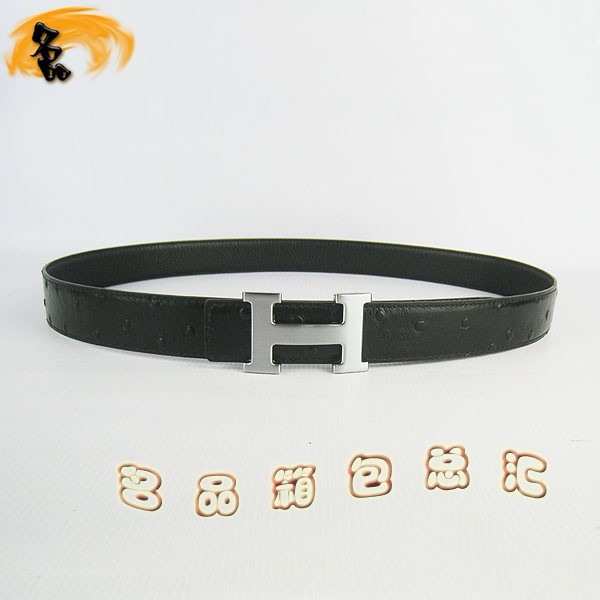 350 ¿(i)RƤ HermesƤ Hermes rByɫ yۣy3cm