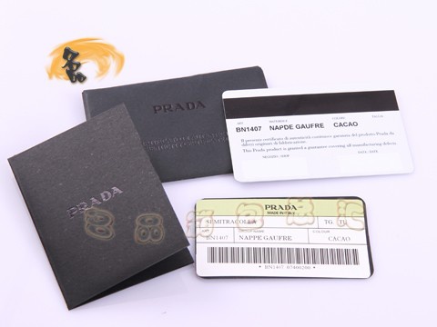 BN1407 正品品質 普拉達羊皮女士斜挎包 最新款褶皺系列女包 Prada手提包 啡色