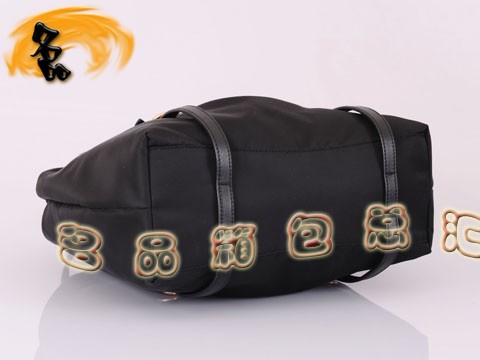 BR3919  Pradae _μ ˮŮ  ɫ