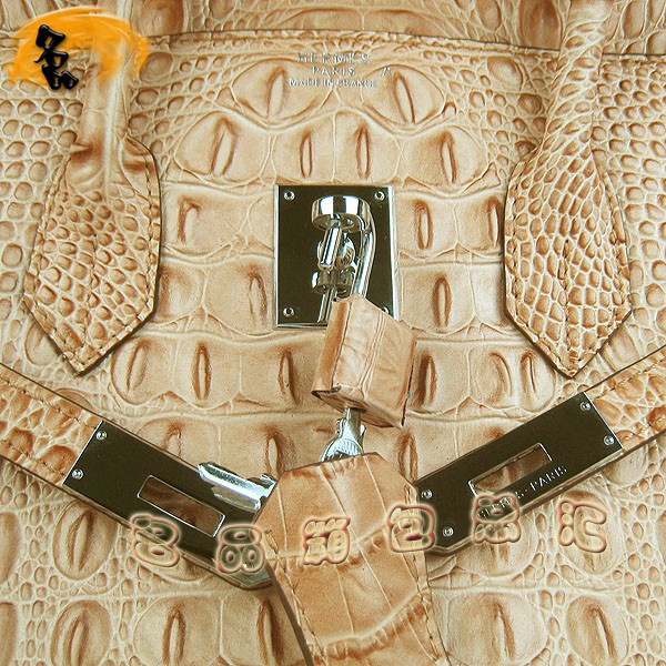 6089 愛馬仕女包 Hermes手提包 Hermes Birkin 鉑金包 鱷魚頭紋(35) 土黃色銀扣