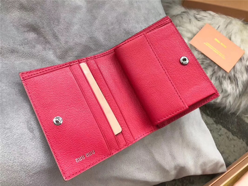 5MV204 MIUMIU 專柜最新 大LOGO 拼色 口袋小錢包 粉色